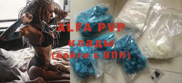 соль ск Новозыбков