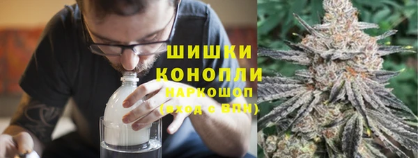 соль ск Новозыбков