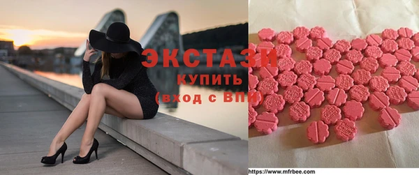 соль ск Новозыбков