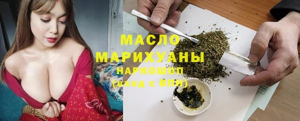 соль ск Новозыбков