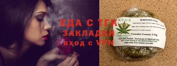 соль ск Новозыбков