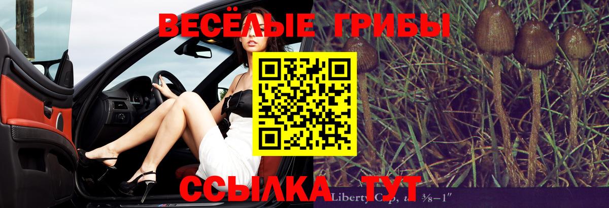 Псилоцибиновые грибы Psilocybine cubensis  Вход с VPN  Галлюциногенные грибы мухоморы  Знаменск 